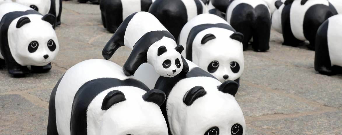 pandas.jpg pandas.jpg