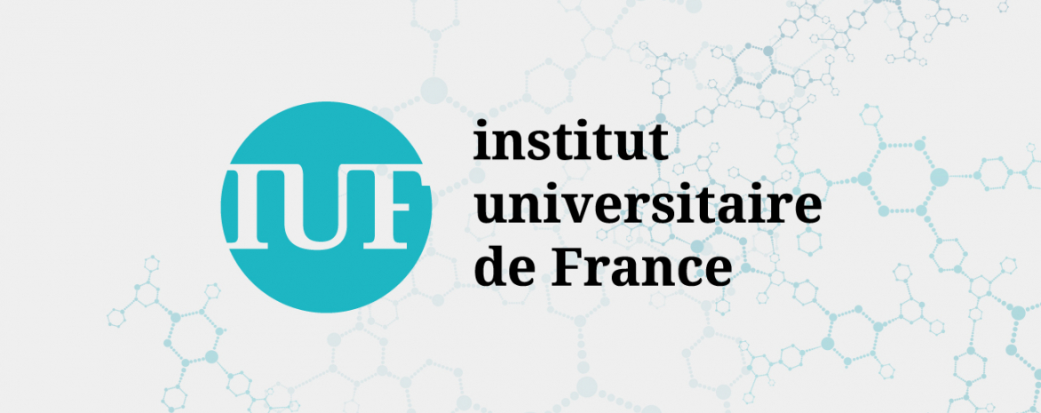 Logo de l'iuf Logo de l'iuf
